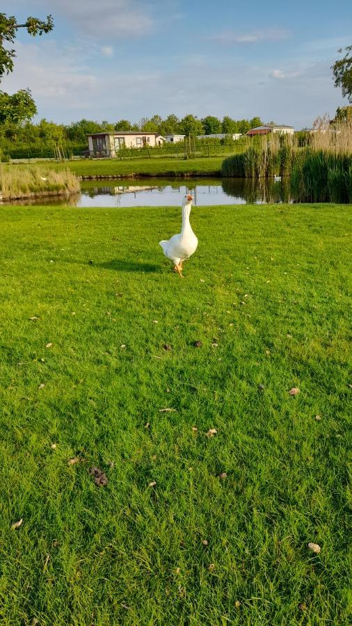 'T Groentje Baarland Экстерьер фото