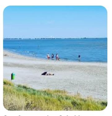'T Groentje Baarland Экстерьер фото